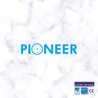PIONEER INDUSTRIAL INSTRUMENTS logo - Similar company to Shri Instruments