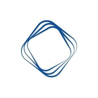 方圆资本丨Optimas Capital logo - Similar company to Hollyhigh International Capital 东方高圣