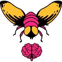 BrainBugs logo - Similar company to Nathan Viz