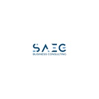 SAEG Financial Logistics Business Consultants logo - Similar company to Vprovantage, Llc