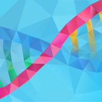 AI56 logo - Similar company to Dynamic Ai
