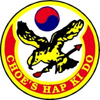 Choes HapKiDo Martial Arts logo - Similar company to Team Unity Martial Arts