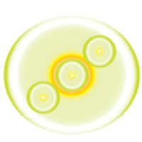 LaunchHawk logo - Similar company to Stereotype Breakers