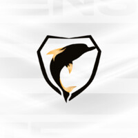INTENSE GAME logo - Similar company to Galorys