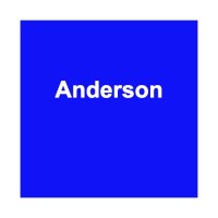 Anderson & Associates Consulting