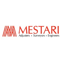 Mestari Adjusters logo - Similar company to Vrs Adjusters
