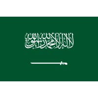 Saudi Arabia Visa Online logo - Similar company to Evisa Express