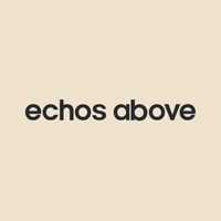 echos above logo - Similar company to Iidrc