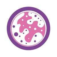 Histo APP logo - Similar company to Bon Tech (بون تيك)