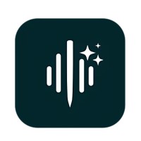 VoiceToNotes AI logo - Similar company to Datakite Business Intelligence Analytics Solutions. Saas. Out Of The Box.