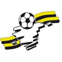 Businessclub Rijnsburgse Boys logo - Similar company to Businessclub V.V. Una Zeelst