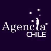 AgenciaChile Soluciones creativas para impulsar tu negocio logo - Similar company to 1111.Cl