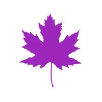 Capital BioVentures logo - Similar company to Yellowbird Diagnostics, Inc.