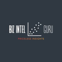 The Business Intelligence Guru