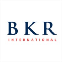 BKR International - Asia Pacific Region logo - Similar company to Pt Sanggraha Pintar Logistik Indonesia