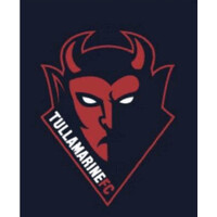 Tullamarine Football Club logo - Similar company to Aquinas Football Club