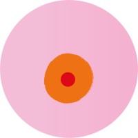 die busenfreundin logo - Similar company to Became.Ai