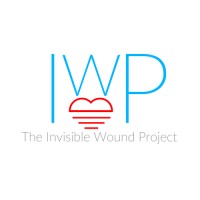 The Invisible Wound Project
