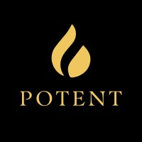 POTENT logo - Similar company to Whola
