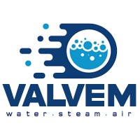Valvem logo - Similar company to Remitec Solutions