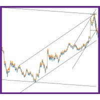 Preston White - Algorithmic Trader logo - Similar company to Quant Trade