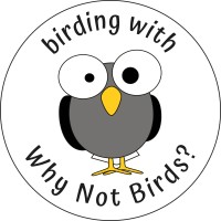 Why Not Birds?
