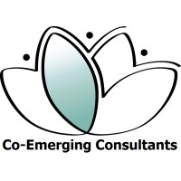 Co-Emerging consultants