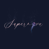 Gala Supernova | ISAE-SUPAERO logo - Similar company to Toulouse Tech