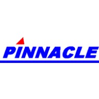 The Pinnacle Consulting Group logo - Similar company to The Pinnacle Retail Consulting Group, Llc