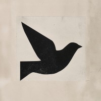 Sard logo - Similar company to One Zero One