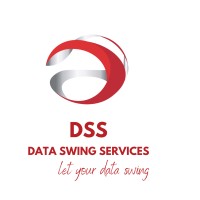 Data Swing Services (DSS) logo - Similar company to Data Swing