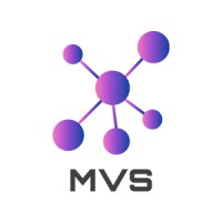 MindValley Solutions logo - Similar company to Adx Factor