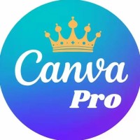 Canva Pro 👑 logo - Similar company to Canva Project