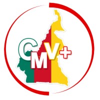 CamerounVisionPlus logo - Similar company to Ferdsilinks