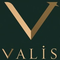 Valis Consultoria Empresarial logo - Similar company to Chatskills