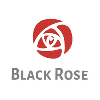 Black Rose Srl logo - Similar company to Black Rose Security Ltd
