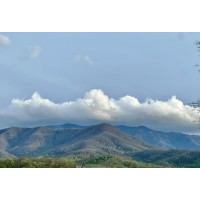 Taylor Business Solutions Co. logo - Similar company to Fck Stress Inc