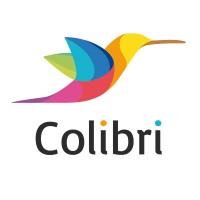Colibri Interfaces e Tecnologia logo - Similar company to Leb - Laboratório De Engenharia Biomédica - Ufmg
