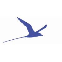 Longtail Re logo - Similar company to Stone Ridge Asset Management