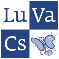 LuVaCs - LUMC Expert Center for Lupus-, Vasculitis- and Complement-mediated Systemic Diseases logo - Similar company to Benjamin Care