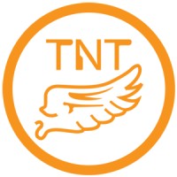 TNT MEDIA & NETWORK CO., LTD. logo - Similar company to Light Blue Consulting