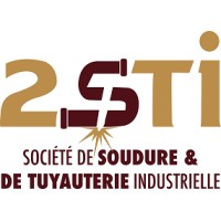 2STi logo - Similar company to Arteius