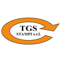 TGS STAMPI SRL logo - Similar company to Gbs Srl