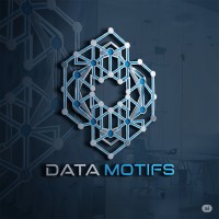 Data Motifs logo - Similar company to Data Insight Hub