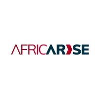 AfricArise logo - Similar company to Methys Group