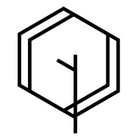 Optimum Beauty logo - Similar company to Slayybrigg Llc