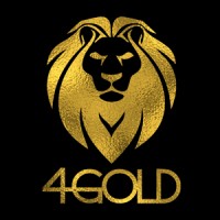 4GOLD logo - Similar company to Onebonsai
