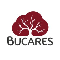 BUCARES logo - Similar company to Uno A Uno Consulting