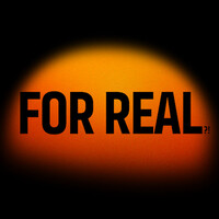 FOR REAL?! logo - Similar company to Dnsys Co., Ltd.