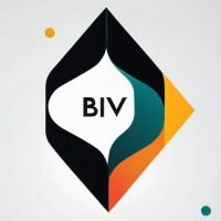BIV ARCHITECTURE logo - Similar company to Dla – Daylight Academy